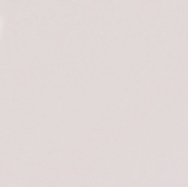 BS-8860 灵动和风白